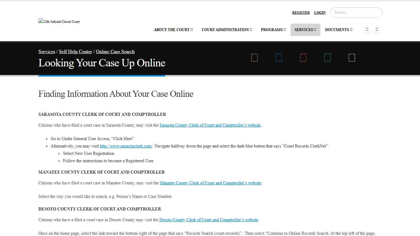 Looking Your Case Up Online